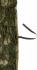 Camouflage Woodland Ghillie Jack Pyke 4 x 1.5 m 32394